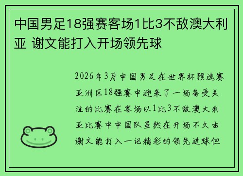 中国男足18强赛客场1比3不敌澳大利亚 谢文能打入开场领先球 中国男足18强赛客场1比3不敌澳大利亚 谢文能打入开场领先球